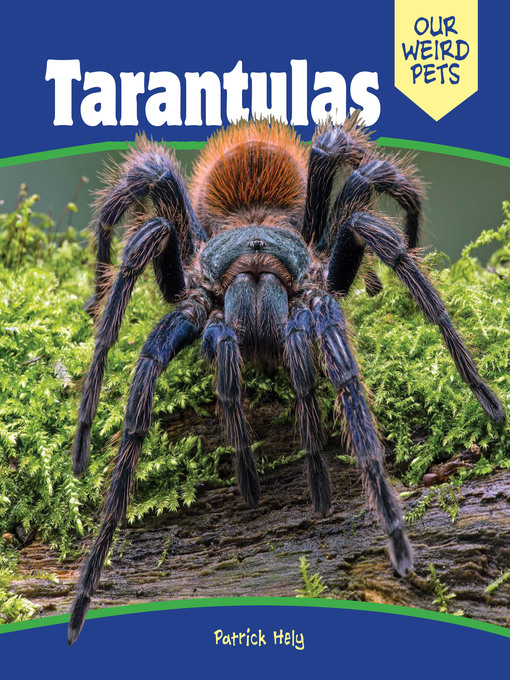 Cover image for Tarantulas
